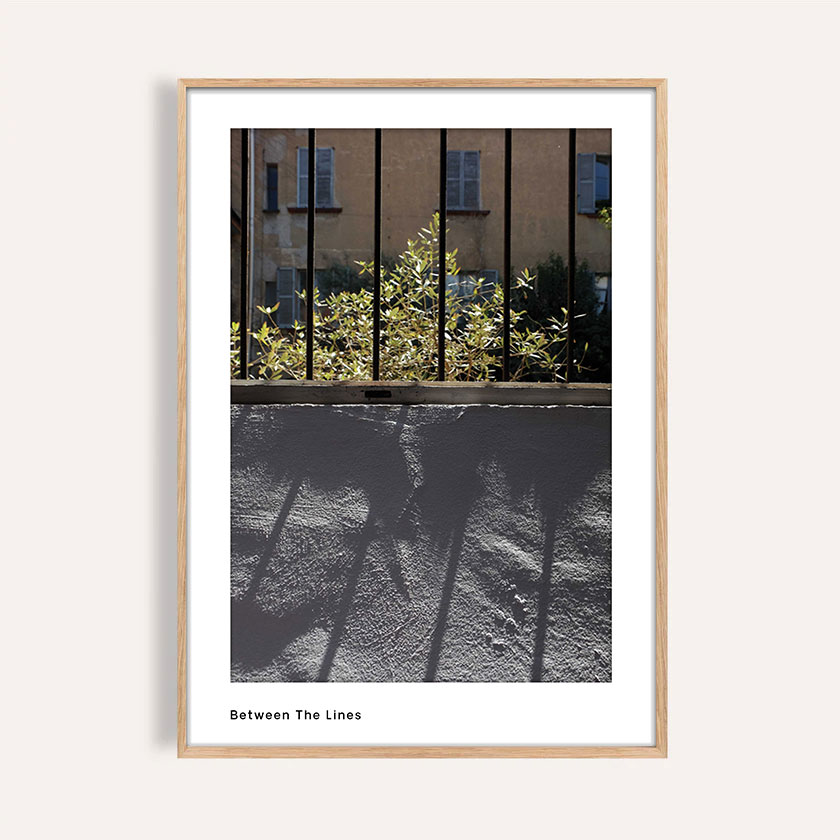 photography wall art