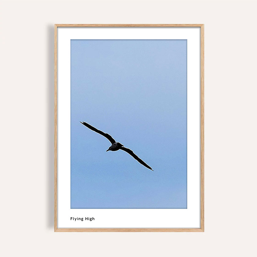 Photography wall Art