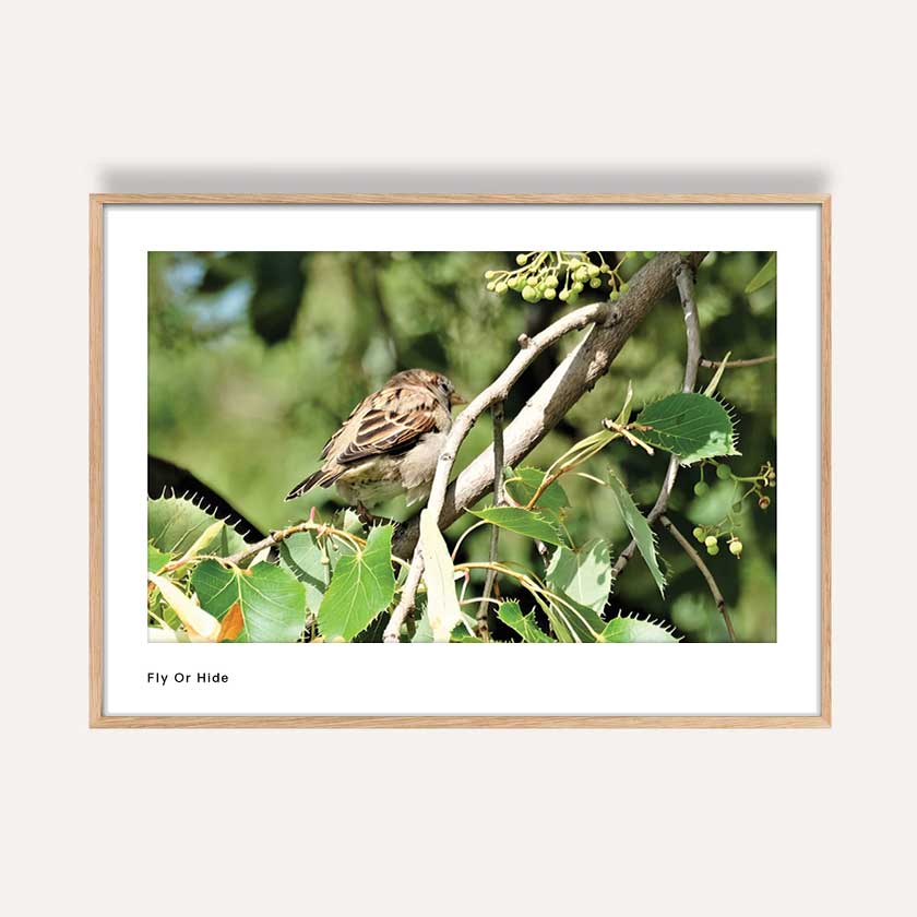 Photography wall art