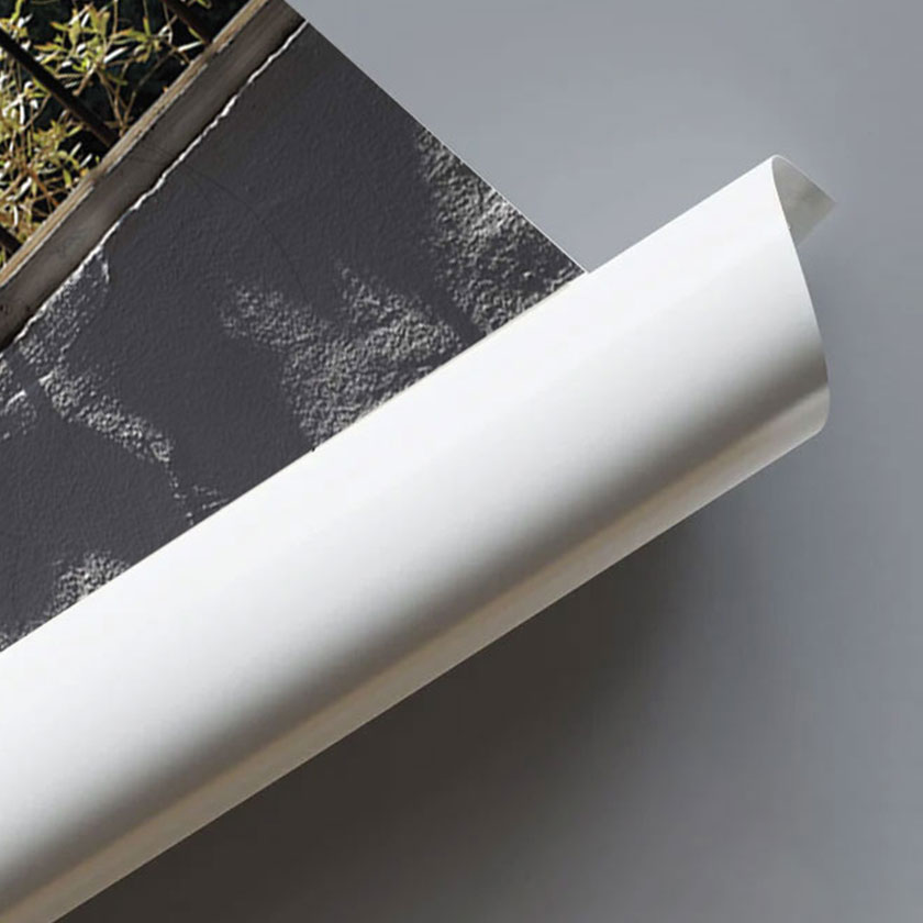 photography wall art photography wall art