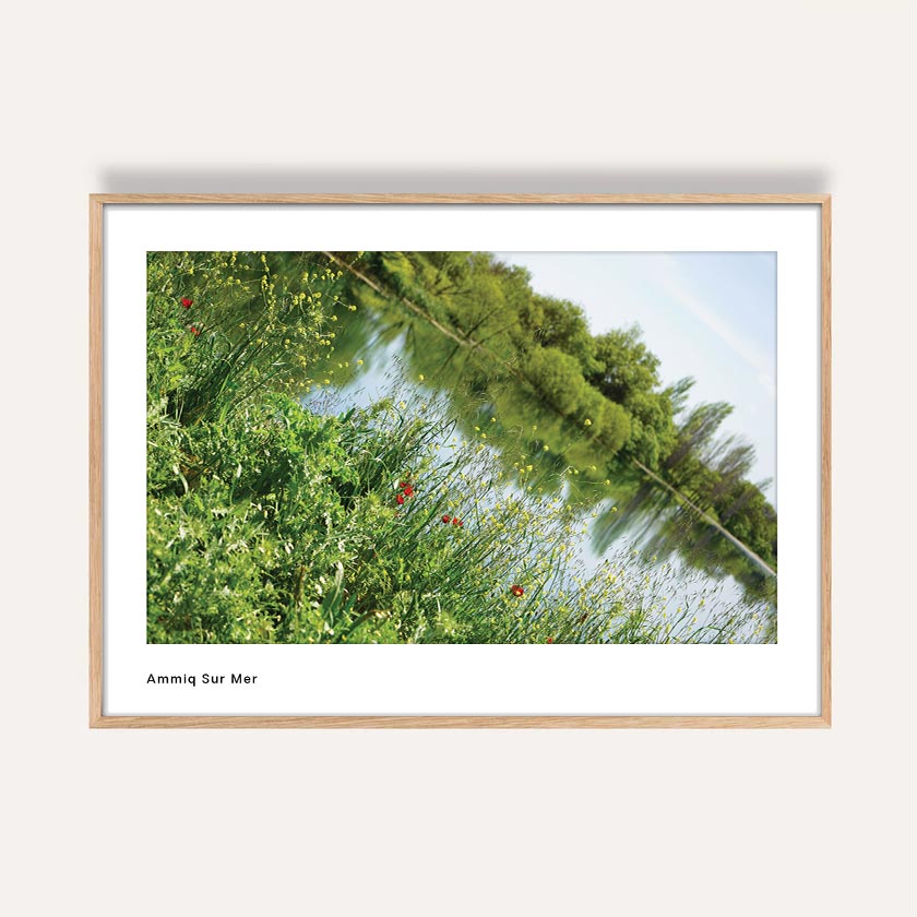 Photography wall art