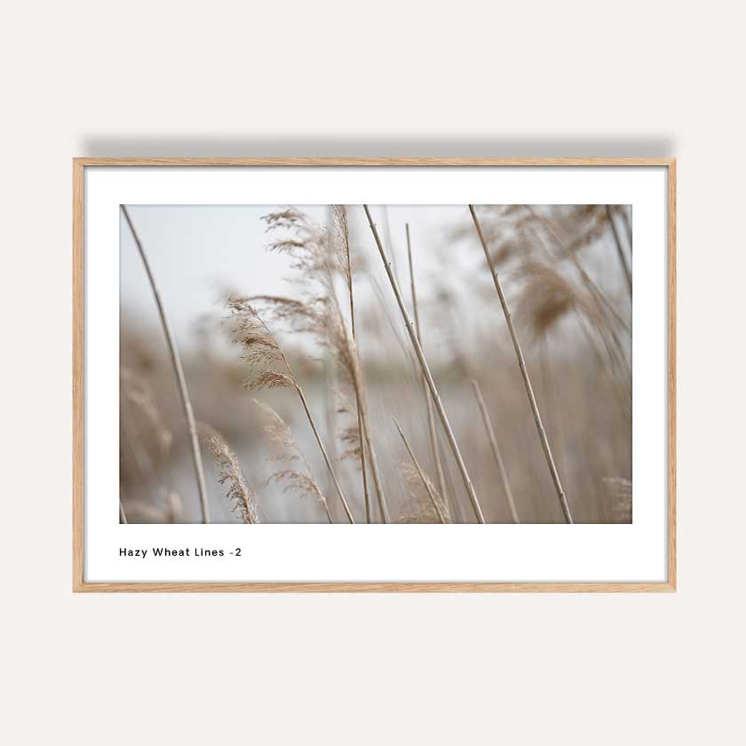 Photography wall art