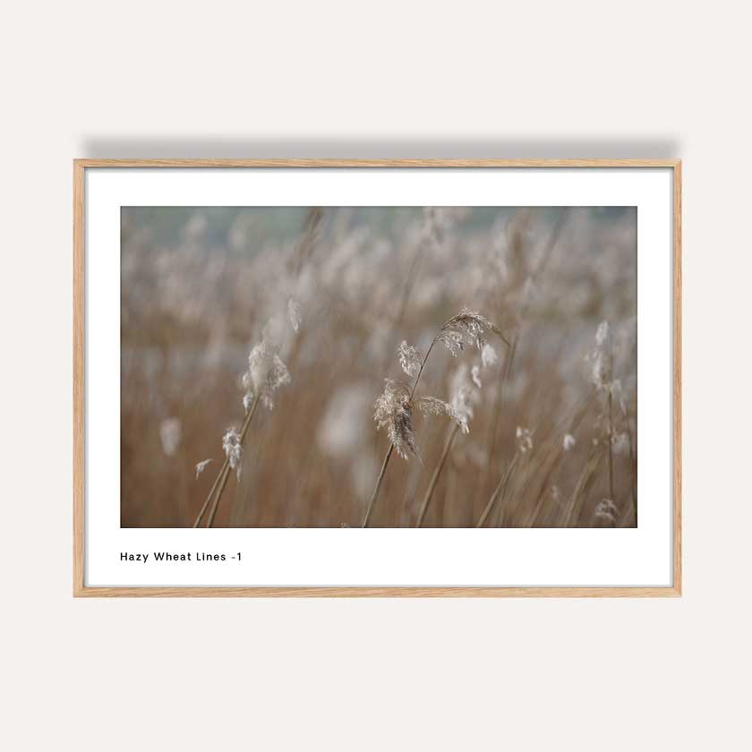 photography wall art